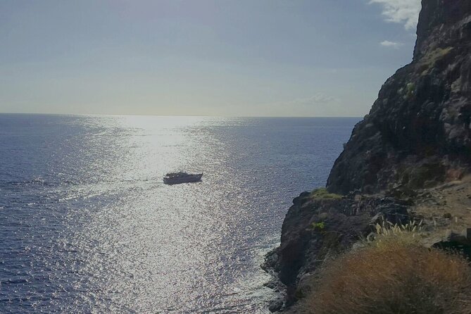 3 hrs Boat Excursion for whale watching from Valle GR (La Gomera) - Tapas, drinks, and the value of the $50.87 price