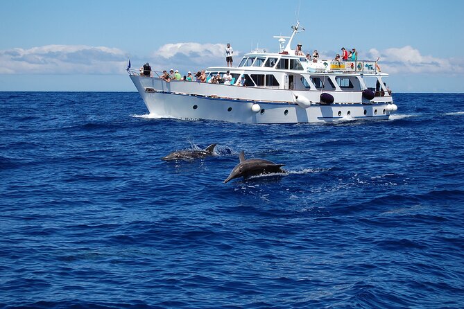 3 hrs Boat Excursion for whale watching from Valle GR (La Gomera) - The cove stop and clear-water swim