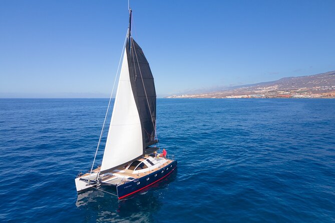 3 hrs. Whale Watching and Relaxing Chill Out Catamaran with glass floor - Key points to know before booking