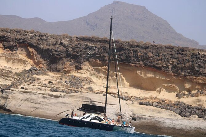 3 hrs. Whale Watching and Relaxing Chill Out Catamaran with glass floor - Price, value, and what you receive
