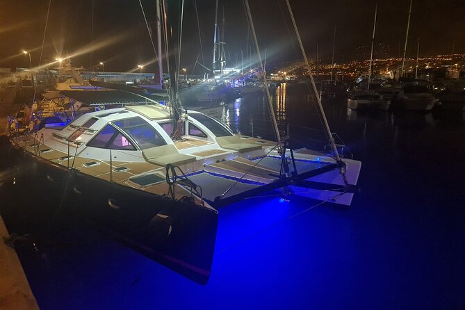 3 hrs. Whale Watching and Relaxing Chill Out Catamaran with glass floor - Who should book this catamaran?