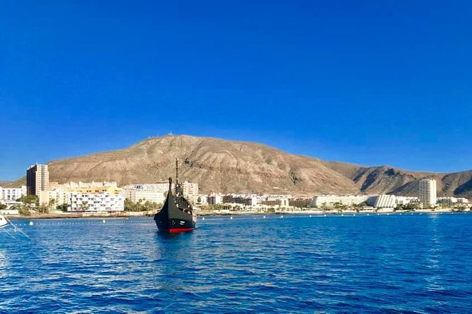3h Viking Cruise with Drinks, Whales watching & Swimming Time - Pilot whales, dolphins, and the value of patience