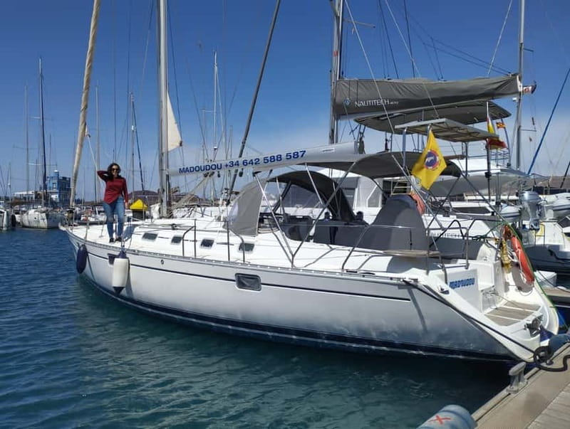 3h Whale Watching Private tour Beneteau Oceanis 440 - The long middle stretch on the Atlantic