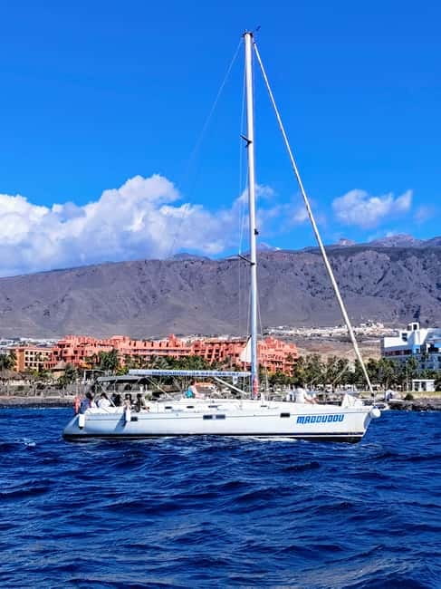 3h Whale Watching Private tour Beneteau Oceanis 440 - Looking for pilot whales in southern Tenerife