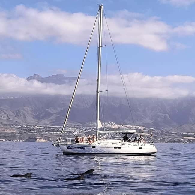 3h Whale Watching Share Tour Beneteau Oceanis 440 - What Makes This Sailing Trip Worth Considering