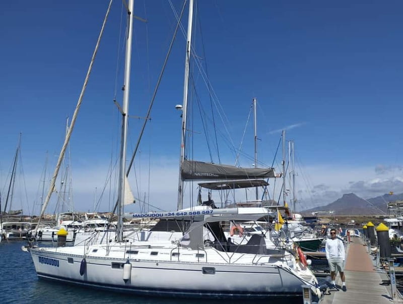 3h Whale Watching Share Tour Beneteau Oceanis 440 - One Hour Looking for Marine Life