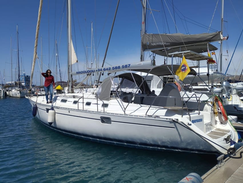 3h Whale Watching Share Tour Beneteau Oceanis 440 - Should You Book This Whale-Watching Trip?