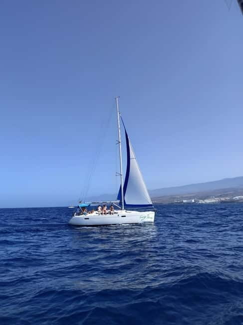 3h Whale watching Share Tour Costa Adeje Lina7 Mizendoha - Final booking advice