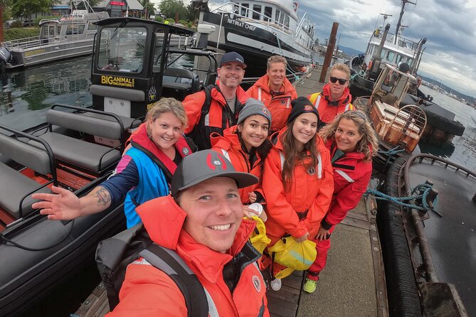 4 Hour Afternoon Whale Watching Tour - Watching for orcas and humpback whales