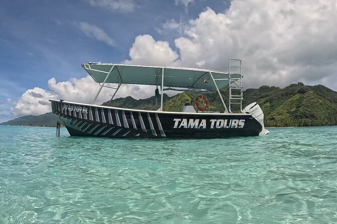 4 Hour Private Humpback Whales Encounter in Moorea - Why Moorea is a special place for whale encounters
