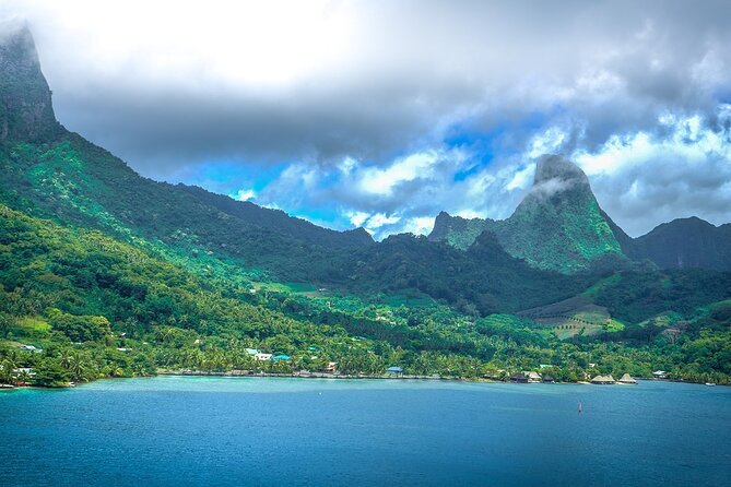 4 Hour Private Humpback Whales Encounter in Moorea - Searching Moorea’s coast for humpbacks