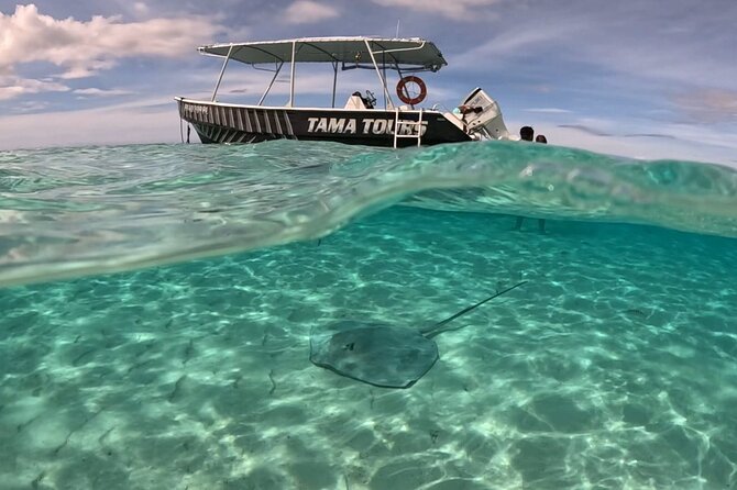 4 Hour Private Humpback Whales Encounter in Moorea - More than whales, but no crowded entertainment