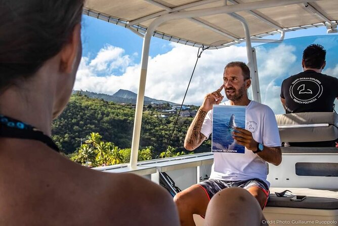 4 Hours of Humpback Whale Watching in Tahiti - Who should book this Tahiti whale tour?