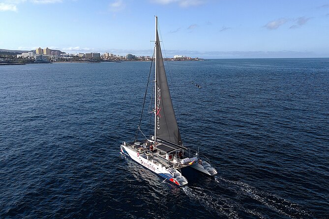 5 hr watching and listening whales and dolps. Visit Los Gigantes - Setting out from Puerto Colón at 10:30 a.m.