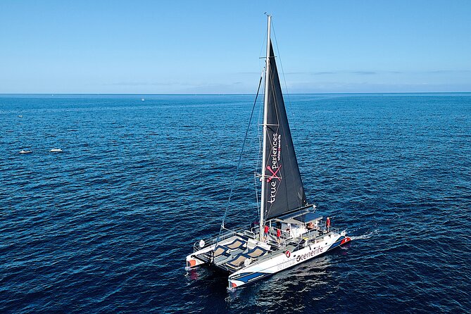 5 hr watching and listening whales and dolps. Visit Los Gigantes - Los Gigantes from the water