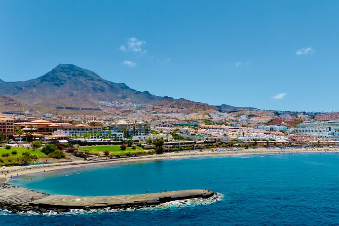 5 hr watching and listening whales and dolps. Visit Los Gigantes - Is $71.38 a fair price?