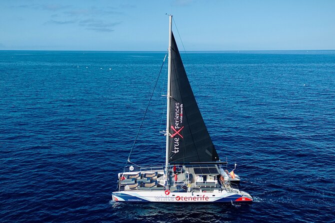 5 hr watching and listening whales and dolps. Visit Los Gigantes - The crew makes the difference