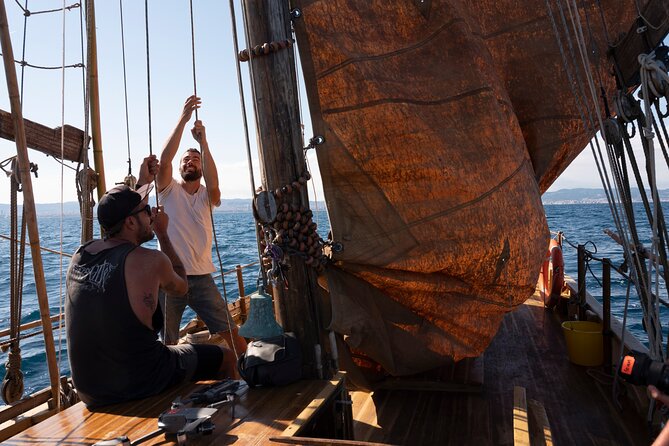 8-Hour Whale Watching in Barcelona - A hands-on return under sail