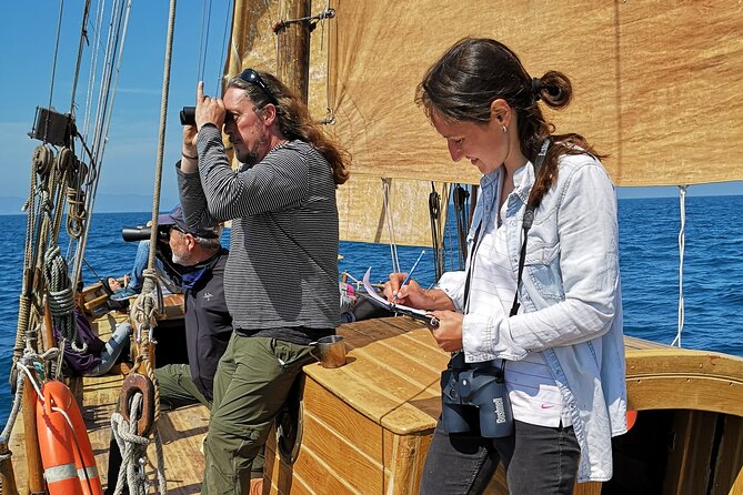 8-Hour Whale Watching in Barcelona - Value for a full day from Barcelona