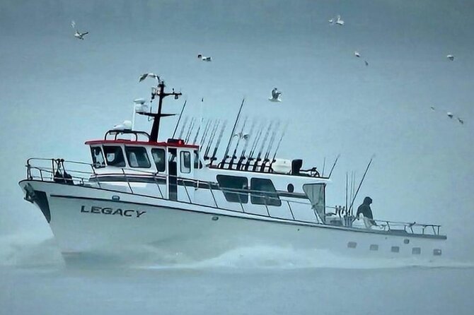 8hr Kenai Fjords Whale Watching Tour w/ 1hr Fishing 16 Passengers - Leaving Seward at 7:00 am