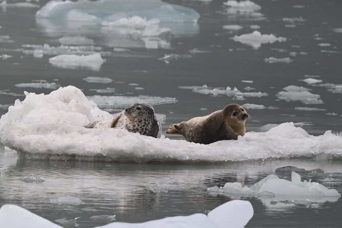 8hr Kenai Fjords Whale Watching Tour w/ 1hr Fishing 16 Passengers - The one-hour fishing portion