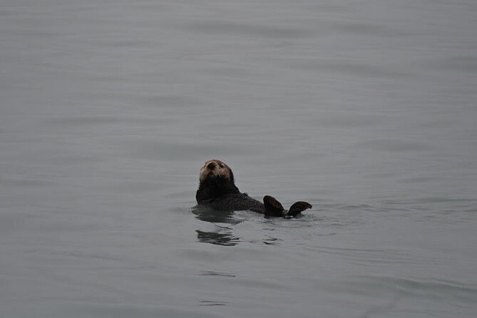 8hr Kenai Fjords Whale Watching Tour w/ 1hr Fishing 16 Passengers - Who will enjoy this tour most