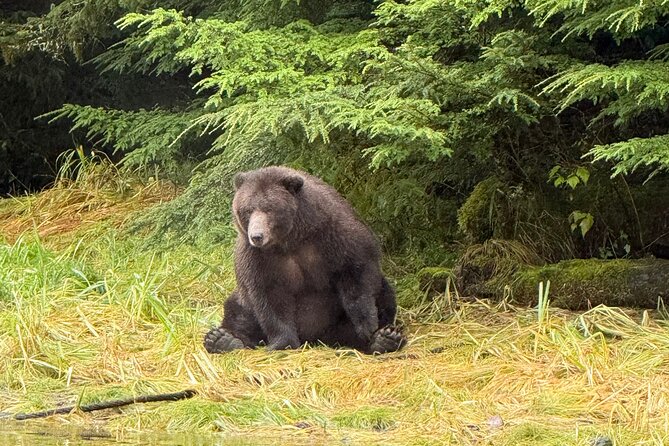 A Comfortable Sitka Whale Watching Wildlife Shore Excursion - Comfort on cold water matters more than you might expect