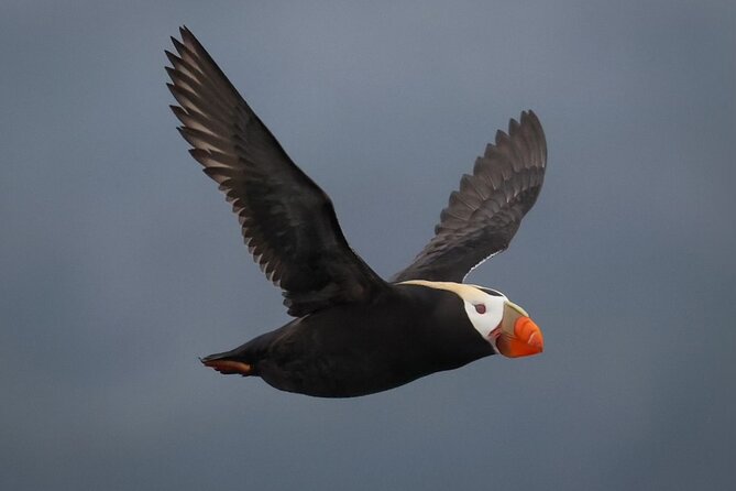 A Comfortable Sitka Whale Watching Wildlife Shore Excursion - Is $225 per person a fair price?