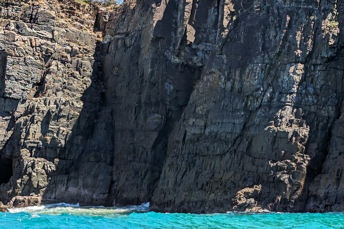 AAA Noosa National Park Tour and Dolphin Safari Whalesongsnoosa - Meeting Noosa’s dolphins in the wild