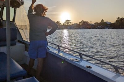 AAA Noosa National Park Tour and Dolphin Safari Whalesongsnoosa