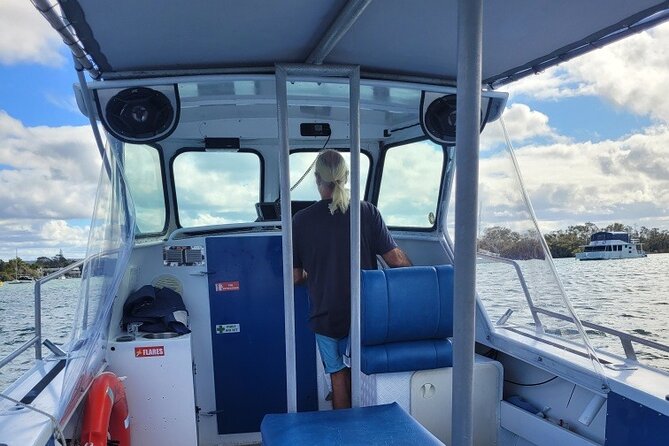 AAA Noosa National Park Tour and Dolphin Safari Whalesongsnoosa - Turtles, fish, jellyfish, and the small surprises