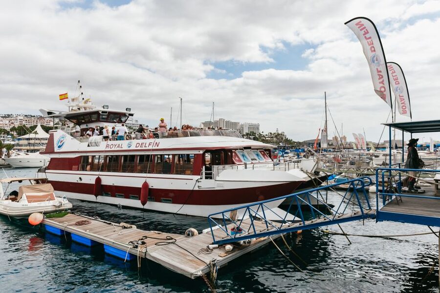 Adeje: Whale and Dolphin Watching Cruise with Lunch and Swim - FAQ