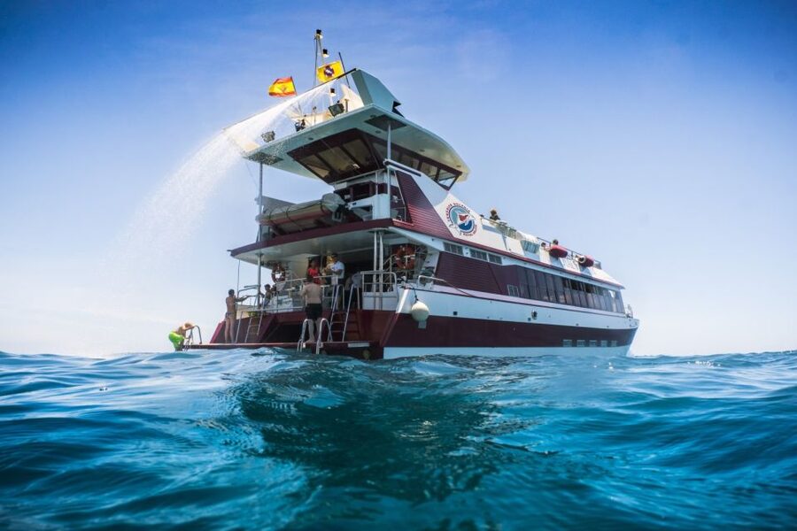Adeje: Whale and Dolphin Watching Cruise with Lunch and Swim - Leaving Puerto Colón for Tenerife’s whale country