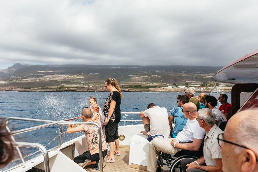 Adeje: Whale and Dolphin Watching Cruise with Lunch and Swim - Lunch, drinks, and the practical value of $59