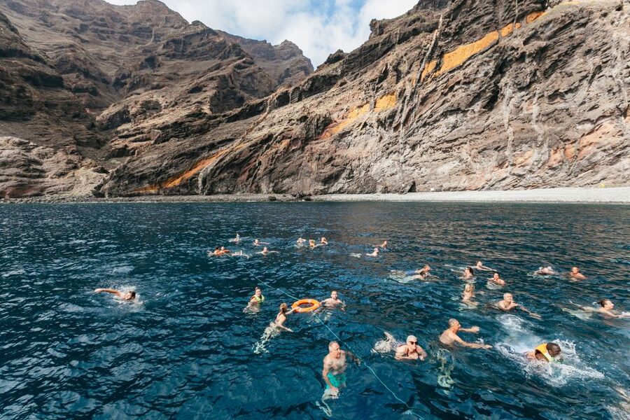 Adeje: Whale and Dolphin Watching Cruise with Lunch and Swim - What to bring and how to use the swim stop