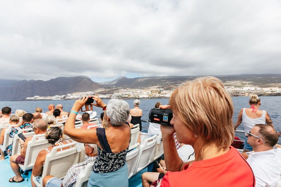 Adeje: Whale and Dolphin Watching Cruise with Lunch and Swim - A multilingual crew and a family-friendly pace