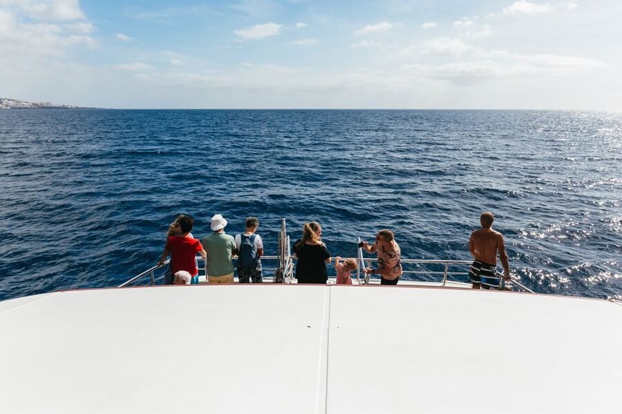 Adeje: Whale and Dolphin Watching Cruise with Lunch and Swim - Accessibility and small limitations to note