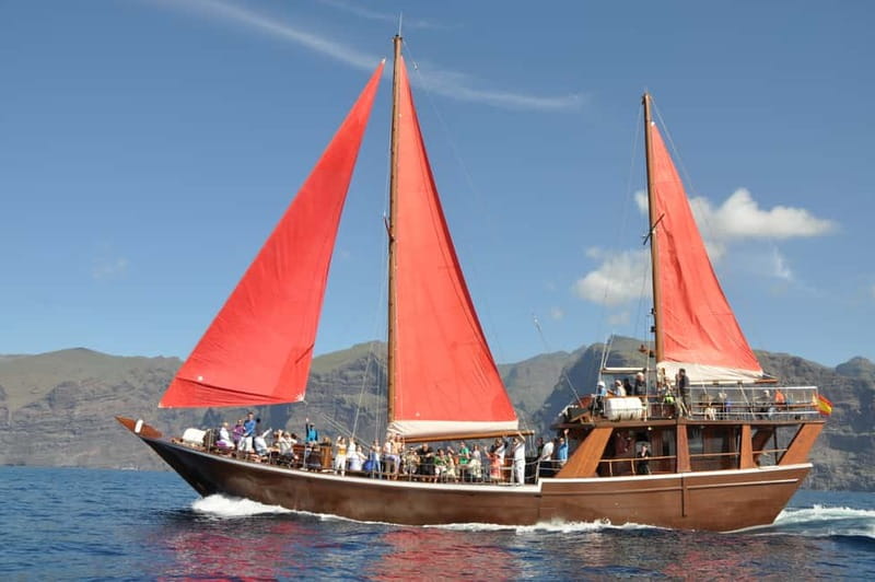 Adeje: Whale Watching, Lunch & Swim Stop at Los Gigantes - Key things to know before sailing