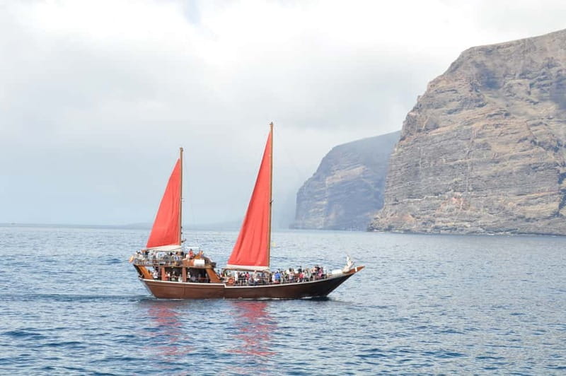 Adeje: Whale Watching, Lunch & Swim Stop at Los Gigantes - Is the $64 price good value?