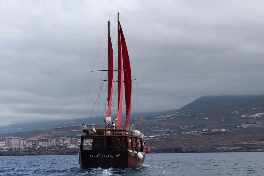 Adeje: Whale Watching, Lunch & Swim Stop at Los Gigantes - What to bring for a comfortable day
