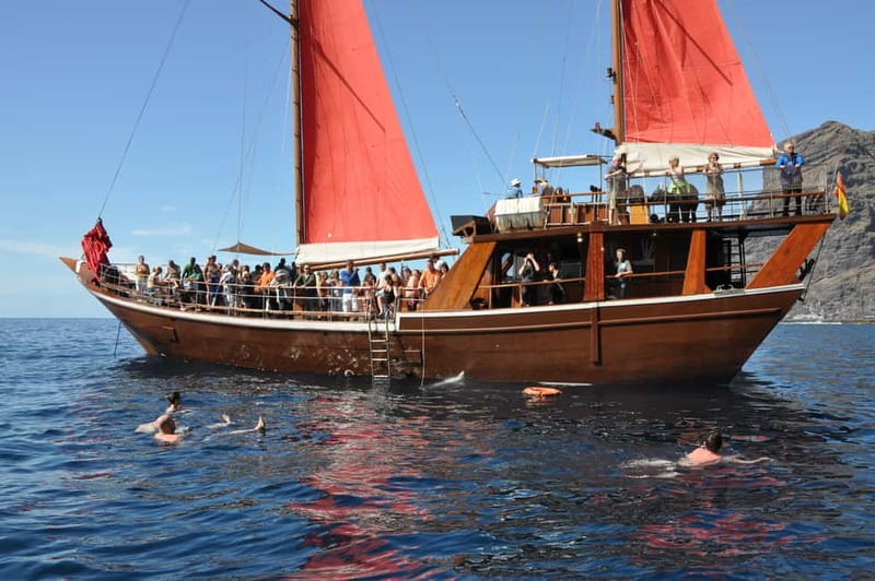 Adeje: Whale Watching, Lunch & Swim Stop at Los Gigantes - Should you book Shogun?