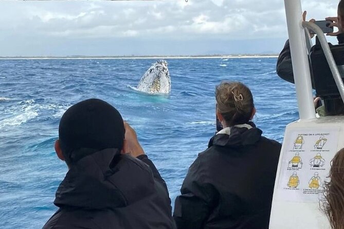 Adventure Whale Watching Tour Mooloolaba - Point Cartwright brings headland views