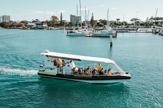 Adventure Whale Watching Tour Mooloolaba - Is $71.01 good value?