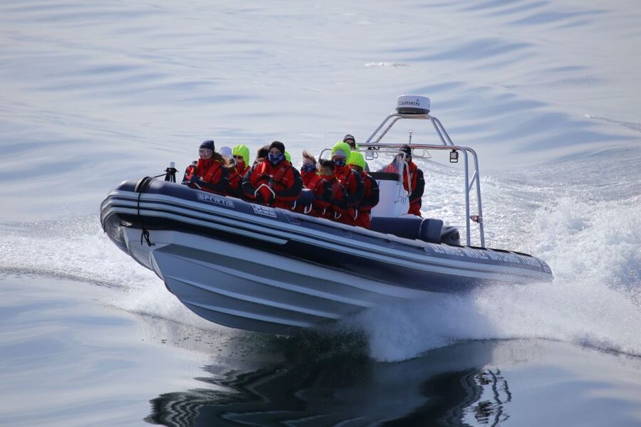 Akureyri: 2-Hour Whale Watching Express by RIB Speedboat - Should you book it?