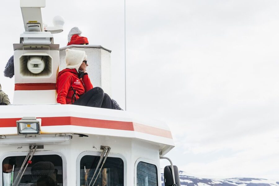 Akureyri: 3-Hour Classic Whale Watching Tour by Ship - Practical details that make the day easier