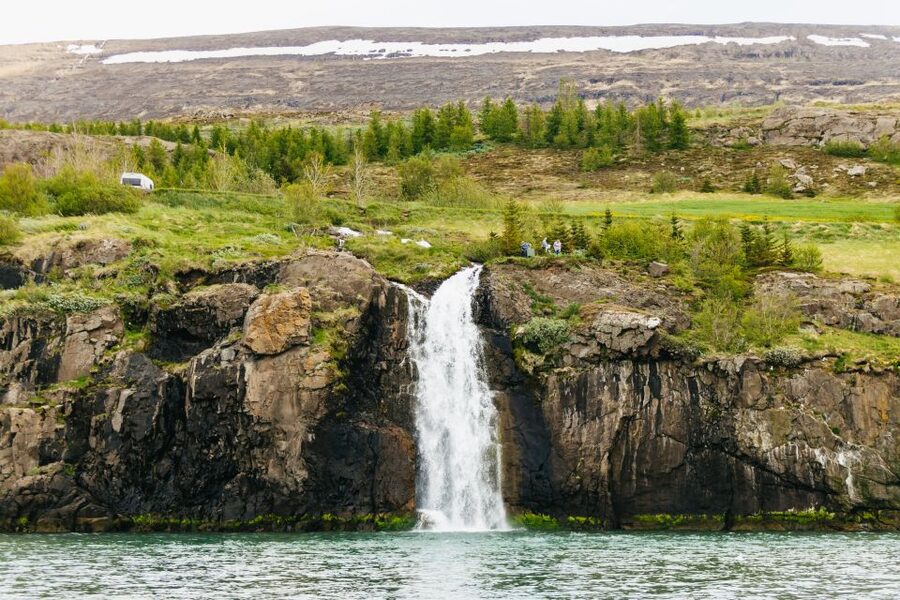 Akureyri: 3-Hour Classic Whale Watching Tour by Ship - Searching for humpbacks in the fjord