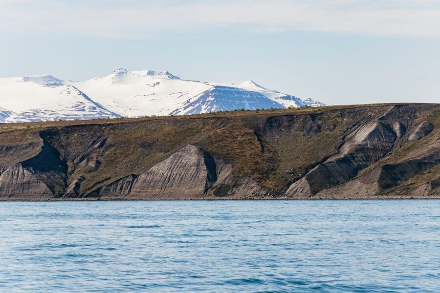 Akureyri: 3-Hour Classic Whale Watching Tour by Ship - Respectful whale watching matters