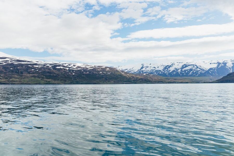Akureyri: 3-Hour Classic Whale Watching Tour by Ship - Winter or summer: choosing the right season
