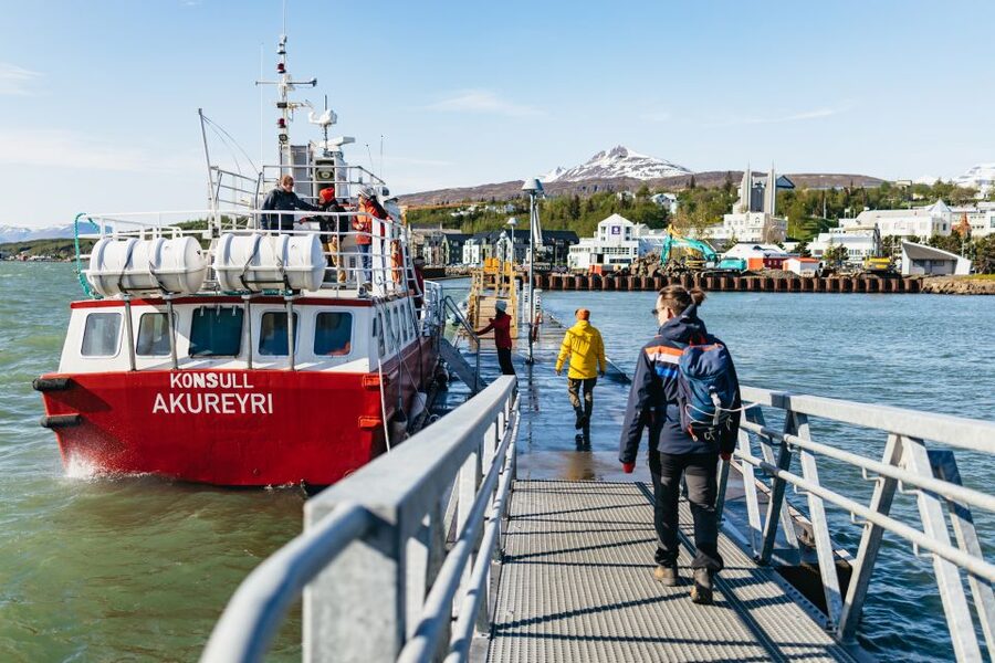 Akureyri: 3-Hour Classic Whale Watching Tour by Ship - Is $108 a good value?