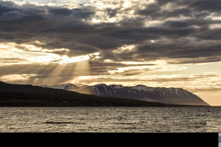 Akureyri: Whale Watching in the Midnight Sun - Comfort, timing, and the long ride home
